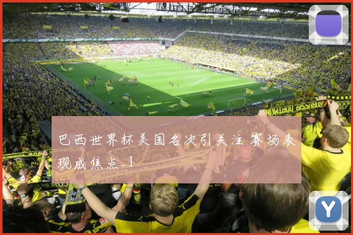 巴西世界杯美国名次引关注 赛场表现成焦点_1