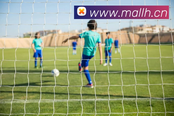 乐鱼官方端网站登录入口 - 乐鱼leyu(中国)平台生态图